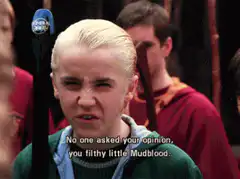 Draco Malfoy insults Hermione