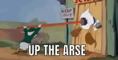 Daffy Duck gets hit in the face with a pole