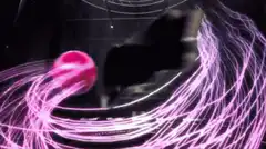 Cleveland Cavaliers logo animation