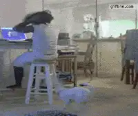 Woman falls off stool while petting dog