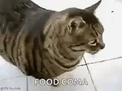 cat falling over food coma