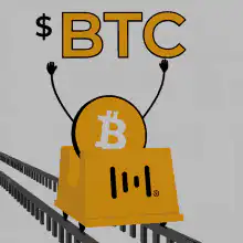 Bitcoin rollercoaster