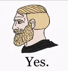 Bearded Man Says Yes