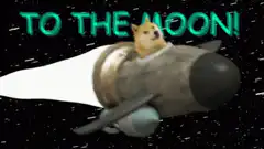 Doge to the moon rocket