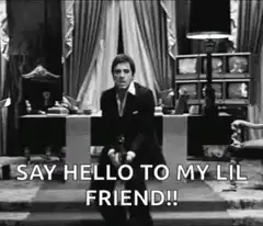 Say Hello to My Lil Friend