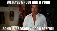 We Have a Pool and a Pond Meme