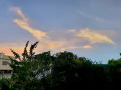 sunset clouds over trees and buildings