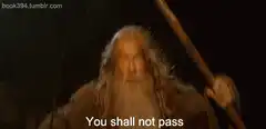 Gandalf You Shall Not Pass