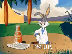 Bugs Bunny says I'm up