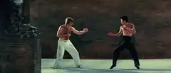 Bruce Lee vs Kareem Abdul-Jabbar fight scene
