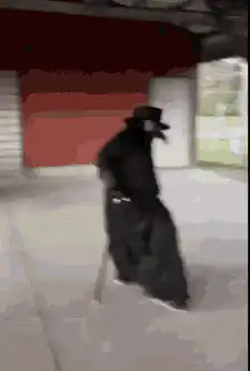 Old man in top hat dancing