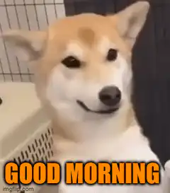 Good Morning Doge Meme