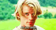 As you wish movie scene