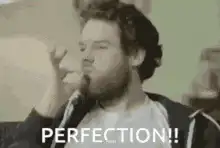 Din Djarin Perfection
