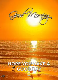 Good Morning Hope You Have A Good Day