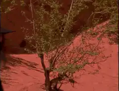 Doomed Guy turns back