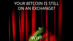 Kermit WTF Bitcoin Exchange