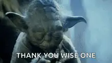 Yoda Thank You Wise One