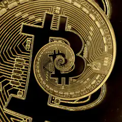 Golden Bitcoin Coin Zoom