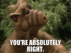 ALF Nodding You're Absolutely Right