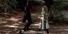 Monty Python Flesh Wound