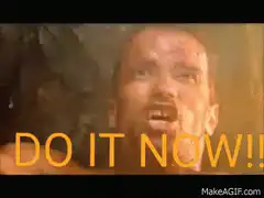 Arnold Schwarzenegger DO IT NOW
