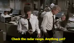 Airplane! radar microwave turkey