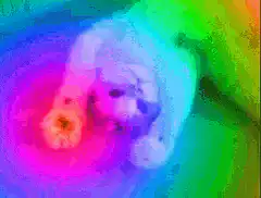 colorful thermal dog