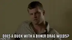 Does a duck with a boner drag weeds?