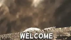 Baby Yoda pops up saying welcome