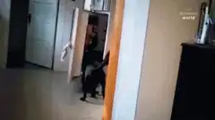 Black dog carries beer bottle