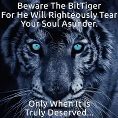 Beware The BitTiger