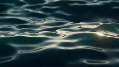Dark water with sun reflection