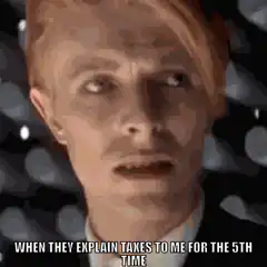 David Bowie Confused About Taxes