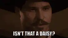 Isn't That A Daisy?