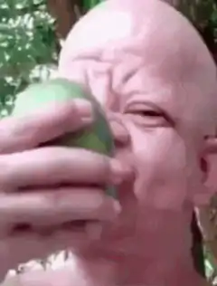Bald man eating a green fruit