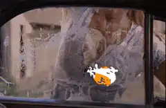 orange and white blob on soapy window