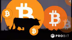 Bitcoin bull market animation