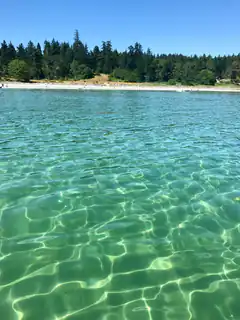 Clear turquoise water with sandy beach and trees