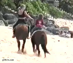 Two women riding horses on beach with dog