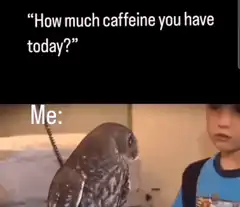 Owl wide eyes caffeine