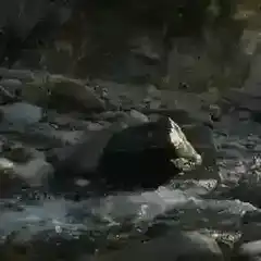 Water flowing over rocks in a stream