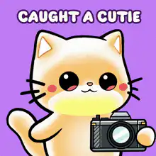 Cat Caught A Cutie Camera