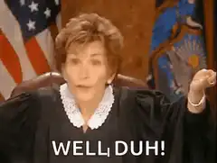 Judge Judy Well Duh