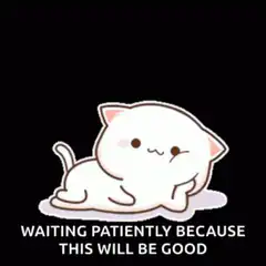 Waiting patiently because this will be good cat