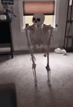 Skeleton falls over
