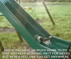 cat stuck on slide