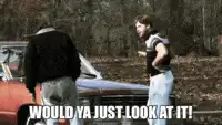 Would ya just look at it!