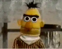 Bert puppet zooms in on eyes