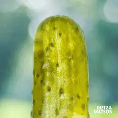 Dill with it pickle
